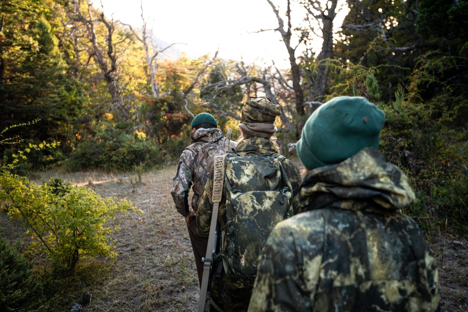 Premier Red Stag Hunting Adventures | Southern Stag